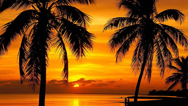 drzewa kokosowe, 4000x2250, plaża, klucz florida, zachód słońca, Tapety HD
