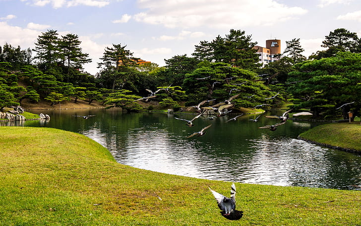 Japan Parks Pond Takamatsu Ritsurin Garden Trees Nature 414233, HD wallpaper