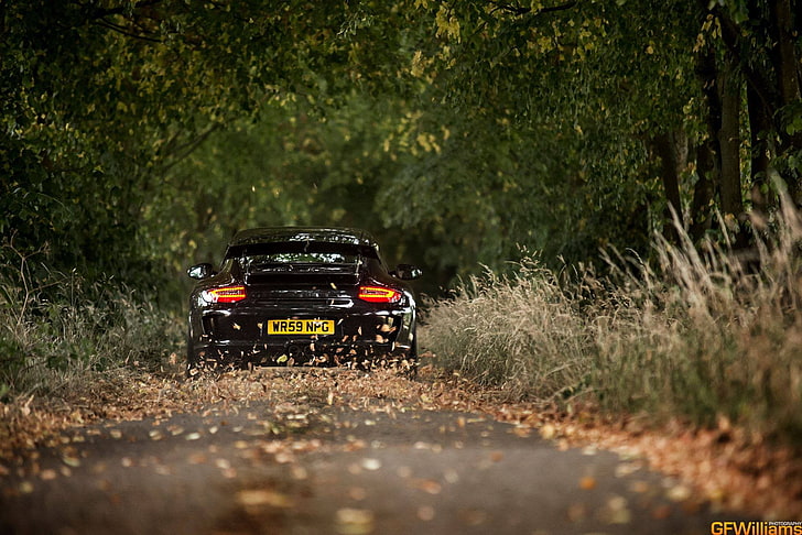 svart bil, Porsche, bil, falla, svarta bilar, väg, fordon, löv, skog, glans, natur, HD tapet