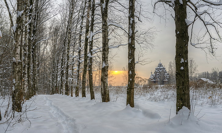 Rusia, lansekap, musim dingin, Wallpaper HD