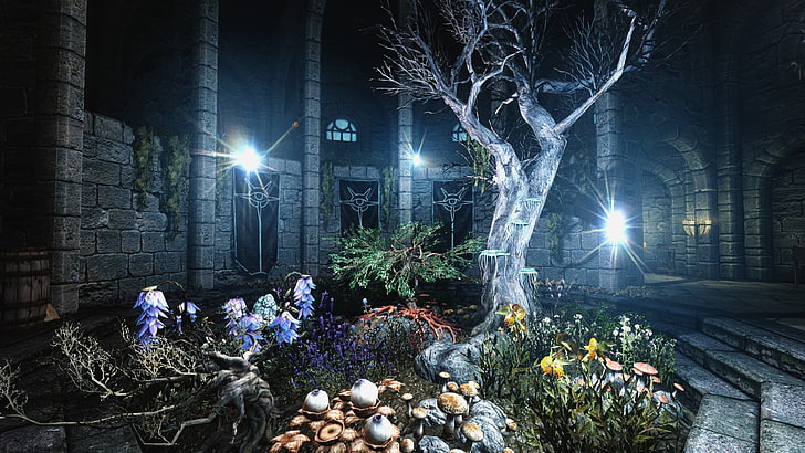 batang pohon abu-abu, The Elder Scrolls V: Skyrim, plants, Wallpaper HD