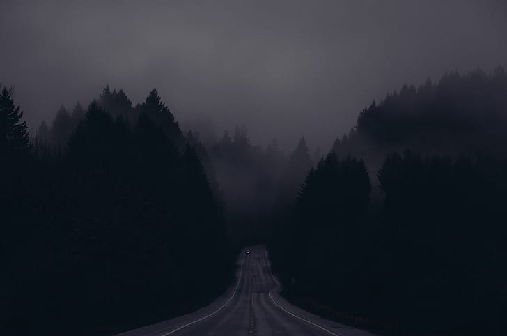 ночь, дорога, лес, туман, темно, деревья, HD обои