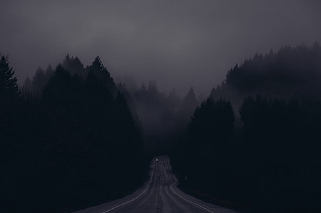 ночь, дорога, лес, туман, темно, деревья, HD обои HD wallpaper