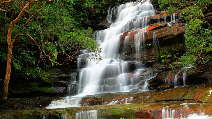 chutes d'eau, nature, cascade, arbres, Fond d'écran HD