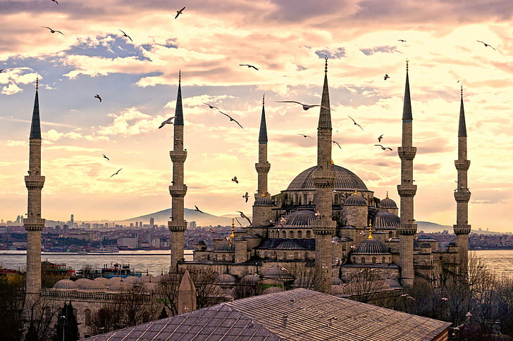 невероятно, архитектурно, красота, птици, град, облаци, Стамбул, джамия, небе, Султанахмет, Турция, Турция, HD тапет