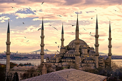 невероятно, архитектурно, красота, птици, град, облаци, Стамбул, джамия, небе, Султанахмет, Турция, Турция, HD тапет HD wallpaper