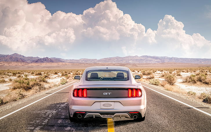 Ford Mustang GT в пустыне, серебристый автомобиль, Ford, Mustang, GT, пустыня, авто, с, HD обои