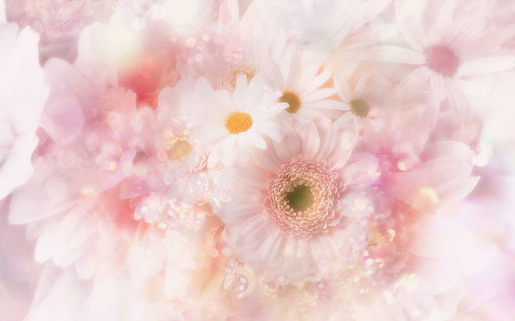 Flores brilhantes, ternura, bolhas, brilho, margarida, beleza, flores, 3d e abstrato, HD papel de parede