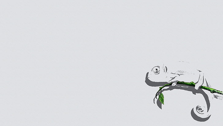 kameleon na gałęzi ilustracja, minimalizm, kameleony, zwierzęta, Tapety HD