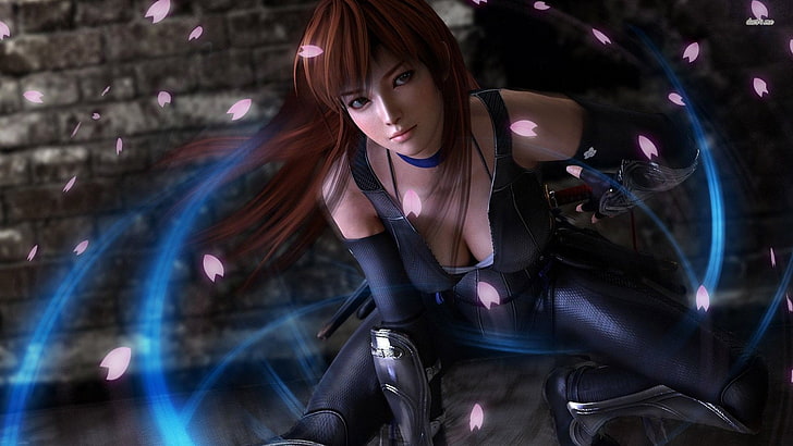 Dead or Alive, Dead or Alive 5, Tapety HD