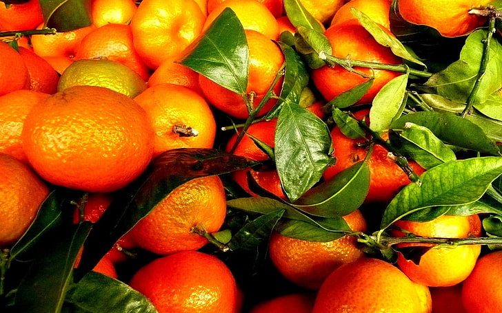 fruit, orange (fruit), HD wallpaper