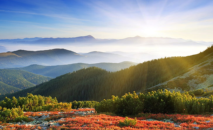 Morgonsolsken med dimma, fotografering av berg, natur, berg, med, solsken, morgon, HD tapet