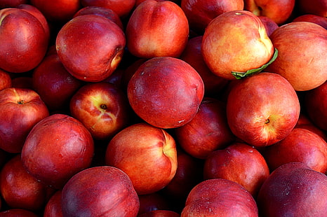 червена ябълка, нектарини, плодове, зрели, HD тапет HD wallpaper