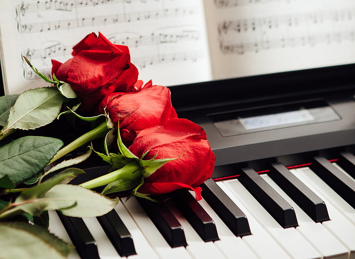 три красные розы, ноты, розы, ключи, красные, три, пианино, HD обои