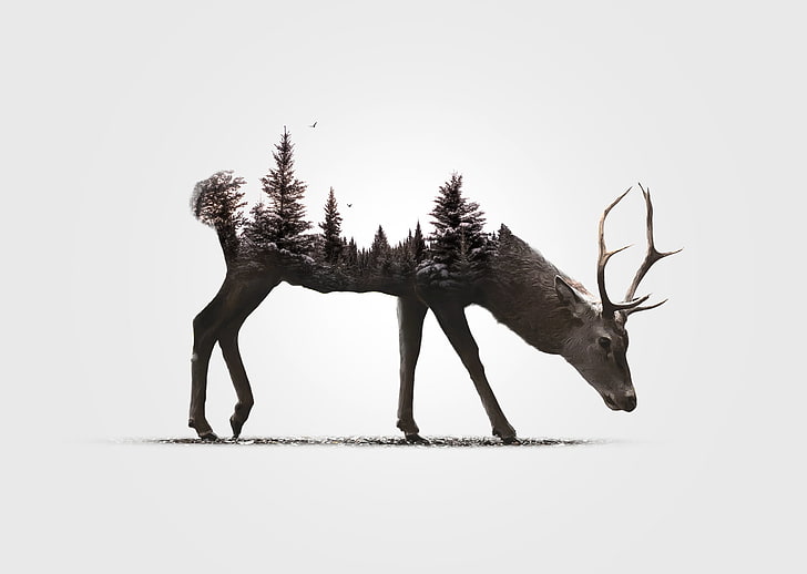 black reindeer illustration, digital art, animals, simple background, deer, white background, antlers, double exposure, nature, trees, forest, snow, pine trees, birds, HD wallpaper