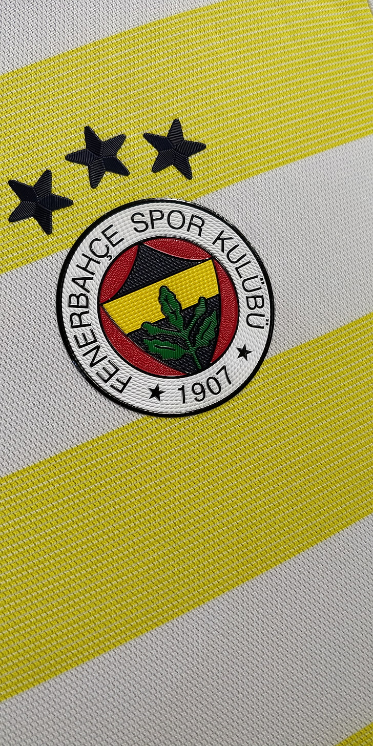 Fenerbahçe, sport, wyświetlanie portretów, piłka nożna, turecki, logo, Tapety HD, tapety na telefon