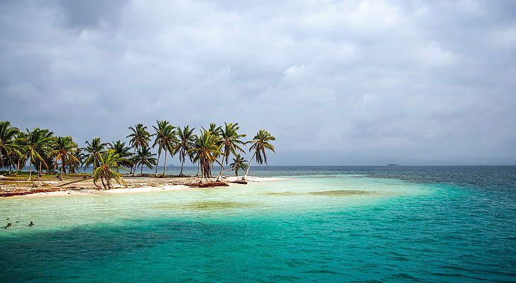 tropical, île, mer, palmiers, horizon, côte, Fond d'écran HD