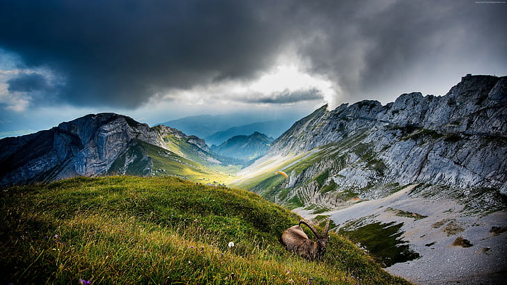Rocky Peaks Meadows Goat Clouds Mount Pilatus ในสวิตเซอร์แลนด์ Hd วอลล์เปเปอร์ 3840 × 2160, วอลล์เปเปอร์ HD