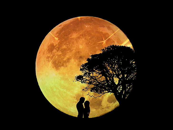 คู่รัก, ดวงจันทร์, ต้นไม้, กลางคืน, ภาพเงา, ศิลปะดิจิตอล, วอลล์เปเปอร์ HD