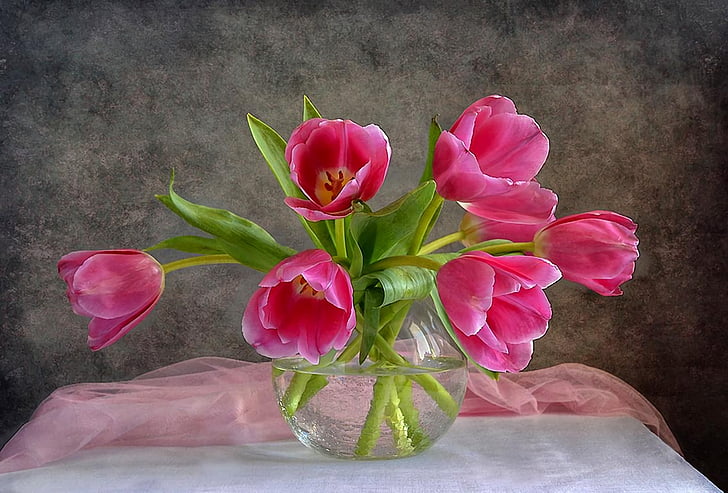 Photography, Still Life, Artistic, Flower, Pink Flower, Tulip, Vase, HD wallpaper