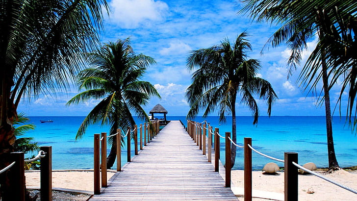 Tropical Beach Pier, beach, palm trees, ocean, nature, pier, nature and landscapes, HD wallpaper