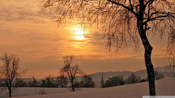 Beautiful Winter Sunset Lscape, tree, winter, sunset, steeple, nature and landscapes, HD wallpaper