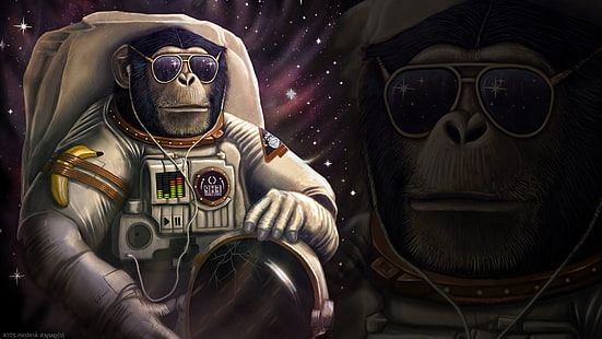 astronaut, Banana, monkey, sunglasses, wtf, HD wallpaper HD wallpaper