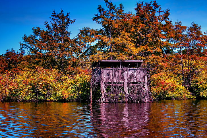 brown wooden shed beside body of water landscape photography, Finch, Lake, Fall, Duck Blind, shed, body of water, landscape photography, Upper  Ouachita  National  Wildlife  Refuge, water, union, tree, swamp, rebel, photomatix, parish, nwr, nature, louisiana, landscape, geotagged, fishing, cypress, canon, duck, ducks, blind, Autumn  fall, fall  color, eos, Gulf, intimate, landscapes, gear, me, platinum, gold, bronze, premium, commander, Dynasty, Phil  Robertson, Jase, Jeptha, Phill, autumn, river, leaf, forest, outdoors, HD wallpaper
