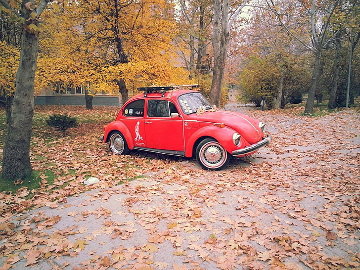 Volkswagen Beetle, bil, HD tapet