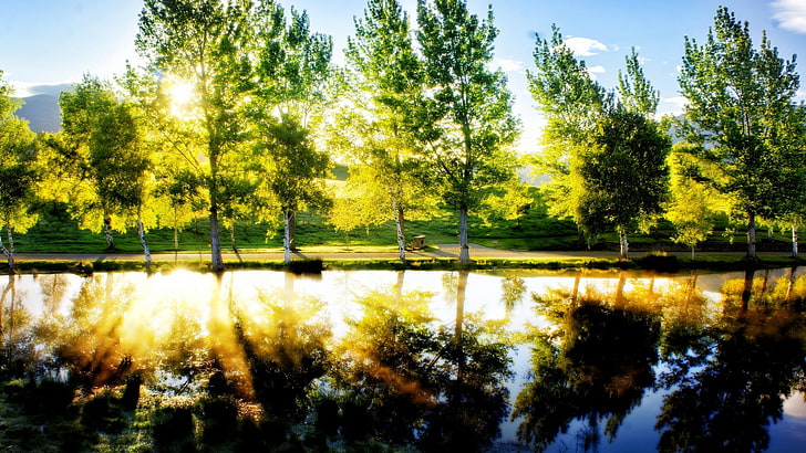 المناظر الطبيعية والبحيرة وضوء الشمس والأشجار والانعكاس والمياه، خلفية HD