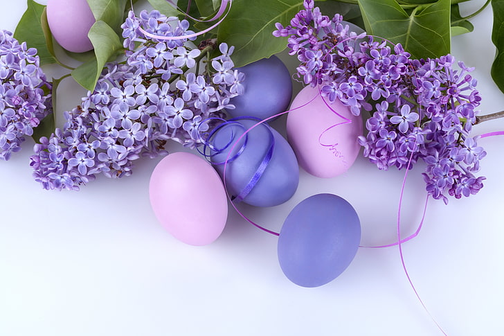 lila und rosa Ostereier, Eier, Ostern, Flieder, HD-Hintergrundbild