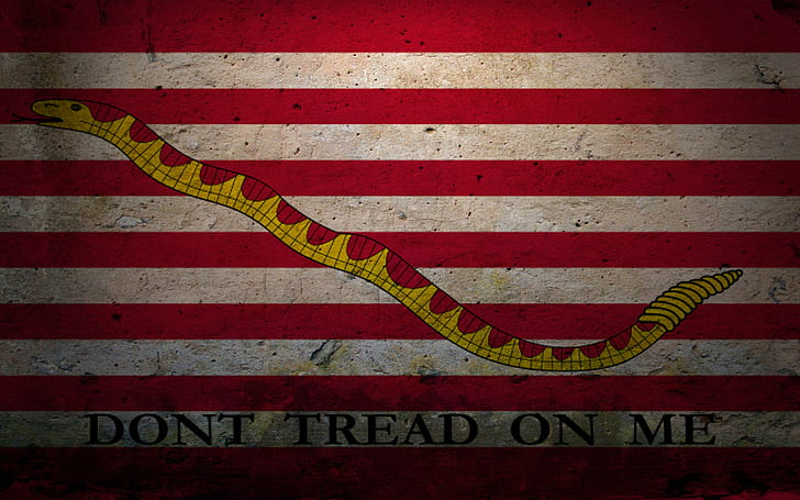 либертарианство, флаг, военноморски сили на САЩ, морски джак, HD тапет