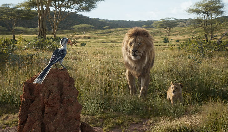 Film, The Lion King (2019), Mufasa (The Lion King), Simba, Zazu (The Lion King), Tapety HD
