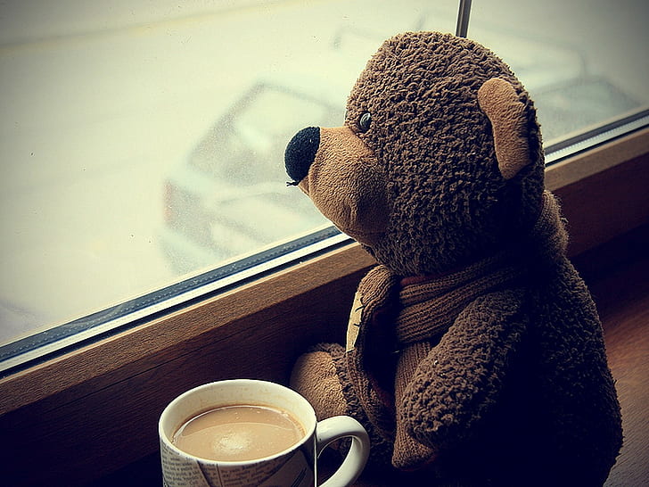 Teddy bear, Toy, Cup, Coffee, Window, Expectations, Mood, Wallpaper HD
