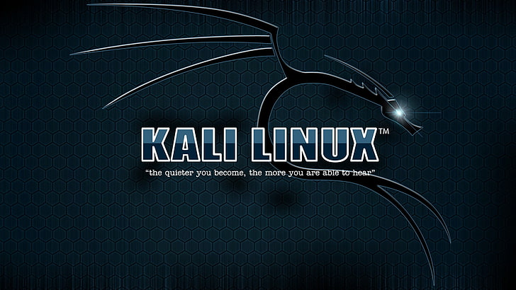 Kali Linuxロゴ、Kali Linux、 HDデスクトップの壁紙