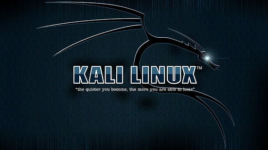 칼리 리눅스 로고, 칼리 리눅스, HD 배경 화면 HD wallpaper