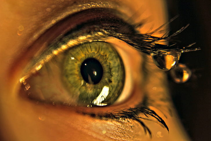 Wimpern, Makro, Auge, Pupille, Wimpern, Tropfen, Wasser, HD-Hintergrundbild
