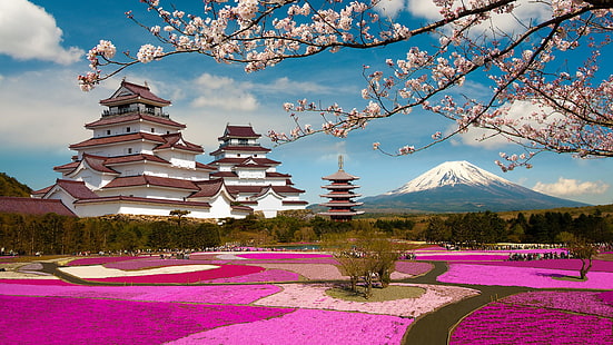turystyka, fuji, aizuwakamatsu, fukushima, zamek, zamek aizuwakamatsu, sakura, azja, japonia, krajobraz, wolny czas, atrakcja turystyczna, pagoda, kwiat, drzewo, wiosna, kwiat wiśni, roślina, punkt orientacyjny, niebo, kwiat, góra fuji, góra, Tapety HD HD wallpaper