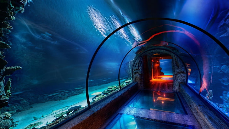 niebieska ścieżka, tunel, podwodny, niebieski, akwarium, Tapety HD