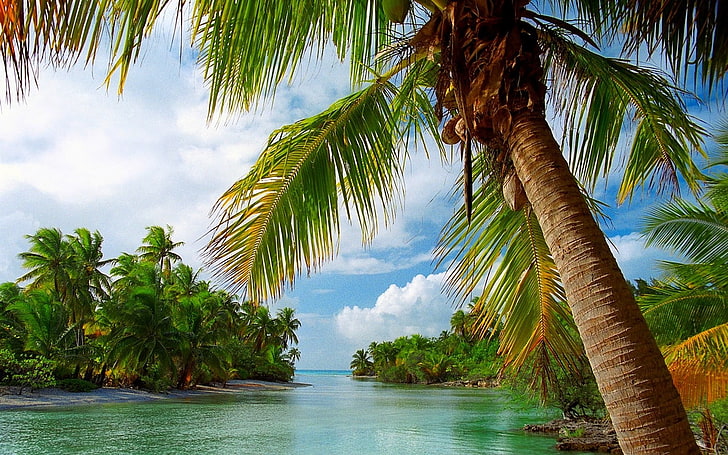 krusande vattenmassa omgiven av ö, strand, tropisk, sommar, hav, natur, ö, palmer, landskap, moln, Franska Polynesien, semester, HD tapet