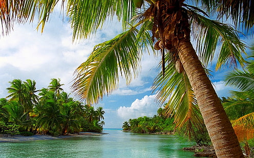 plan d'eau ondulant entouré d'île, plage, tropical, été, mer, nature, île, palmiers, paysage, nuages, Polynésie française, vacances, Fond d'écran HD HD wallpaper
