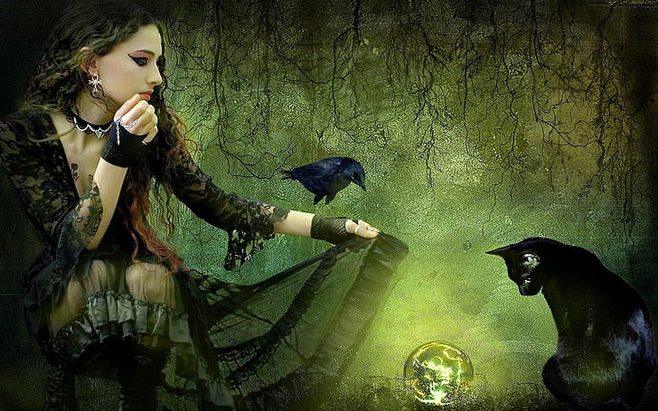 vestido negro de manga larga para mujer y gato negro, fantasía, bruja, gato, bola de cristal, bosque, magia, cuervo, mujer, Fondo de pantalla HD