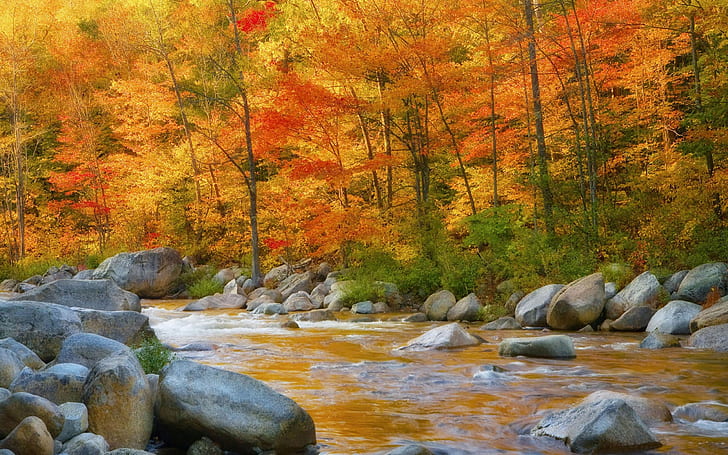 Nature  Autumn  River  Rocks Wallpaper Hd, HD wallpaper