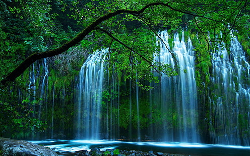 Naturalne piękno piękny wodospad kropla wody przez gęsty zielony krzew tworzący drzewo rzeczne z zielonymi liśćmi tapety na pulpit, Tapety HD HD wallpaper