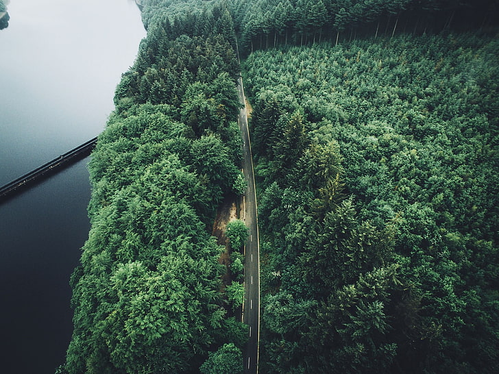 森林、木、空撮、森林、道路の横にあるまっすぐなコンクリート道路の空中写真、 HDデスクトップの壁紙