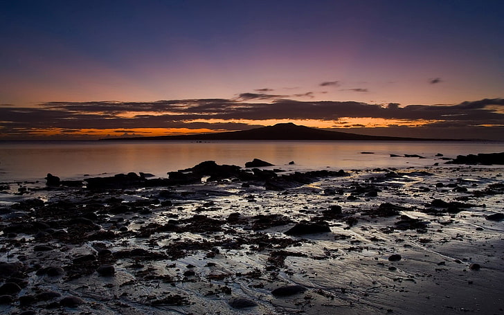 silhuettfoto av hav, landskap, Auckland, strand, sten, Nya Zeeland, HD tapet