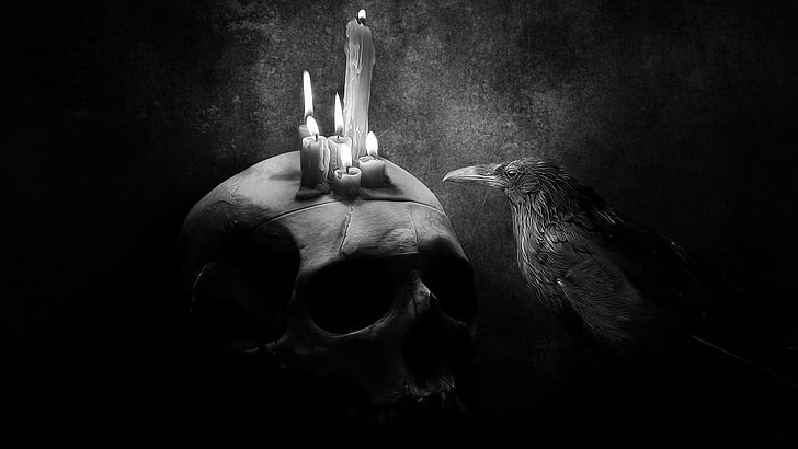 птица, стояща близо до череп със запалена свещ, дигитално изкуство, рисунка, монохромен, череп, свещи, гарван, огън, животни, HD тапет
