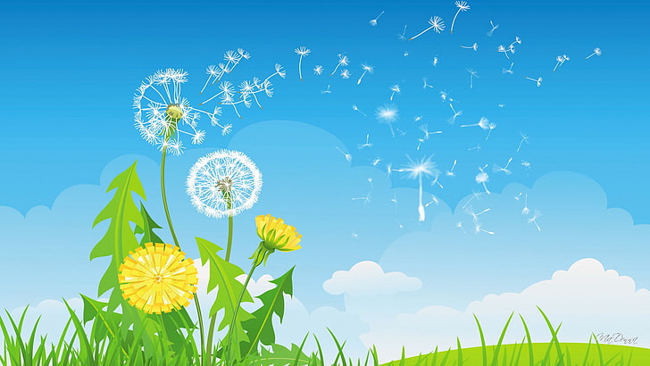 dandelion flowers illustration, the sky, grass, clouds, flowers, dandelion, collage, vector, blade of grass, HD wallpaper