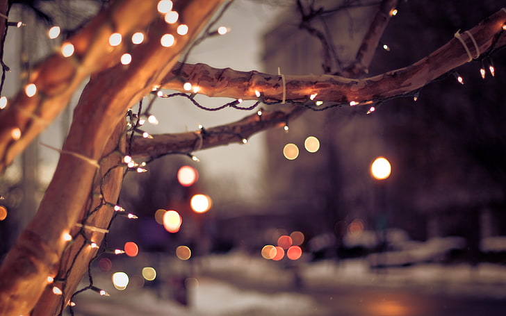 żółte lampki sznurkowe, fotografia świateł smyczkowych bokeh, miasto, pejzaż miejski, drzewa, światła, Boże Narodzenie, zima, natura, miejski, głębia ostrości, bokeh, Tapety HD