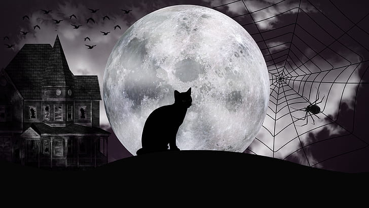 нощ, Хелоуин изкуство, зловещ, обитаван от духове замък, обитаван от духове, замък-призрак, паяжина, паяжина, призрачен, котка, черно и бяло, графика, силует, Хелоуин, полунощ, монохромен, пълнолуние, лунна светлина, тъмнина, луна, HD тапет